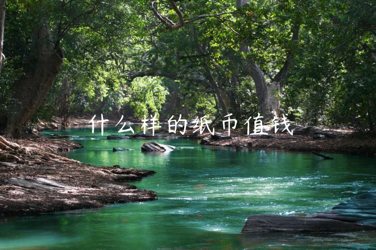 什么样的纸币值钱-第1张图片-交易所